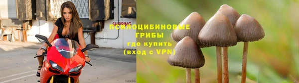 apvp Абаза