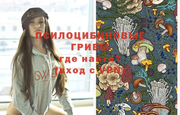 хмурый Абинск