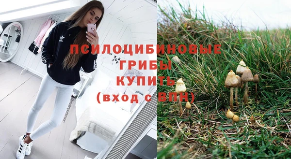 хмурый Абинск