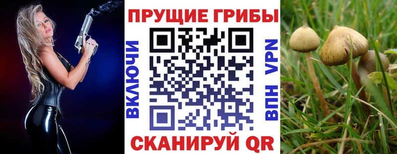Псилоцибиновые грибы MAGIC MUSHROOMS  что такое наркотик  Горбатов 